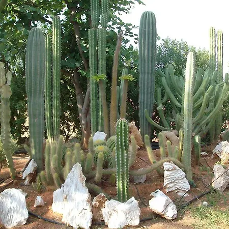 Готель Oasis - Adults Only Херсонісос