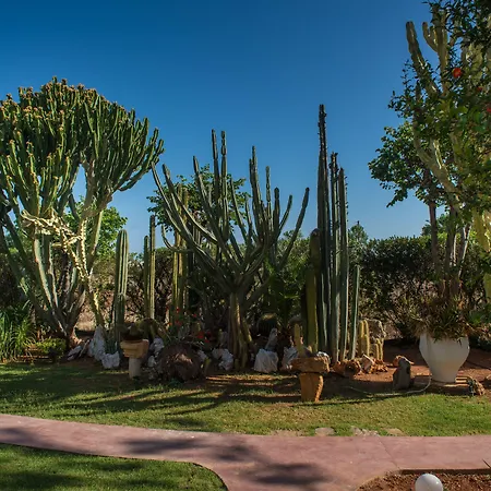 Oasis - Adults Only 3* Hersonissos (Crete)