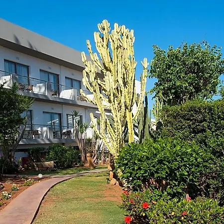 Oasis - Adults Only 3* Hersonissos (Crete)