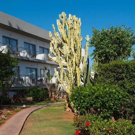 Hotel Oasis - Adults Only Hersonissos (Crete)