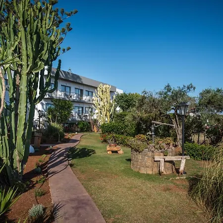 Oasis - Adults Only Hotel Hersonissos (Crete)