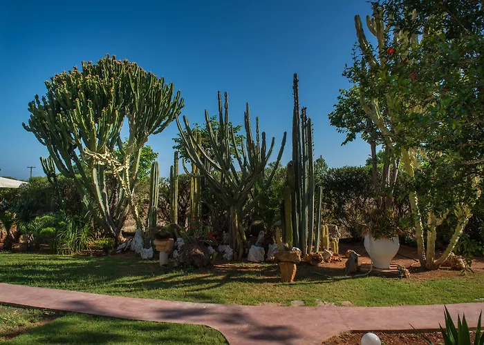 Oasis - Adults Only 3* Chersonissos