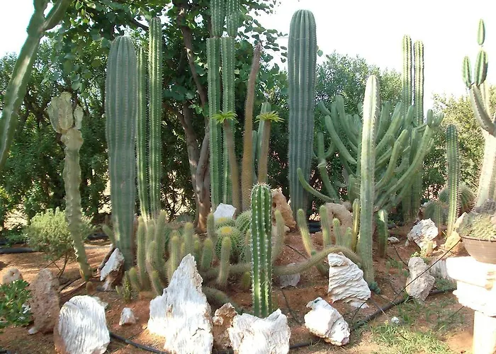 Готель Oasis - Adults Only Херсонісос